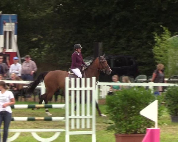 Reitturnier Langstedt-Bollingstedt 2019