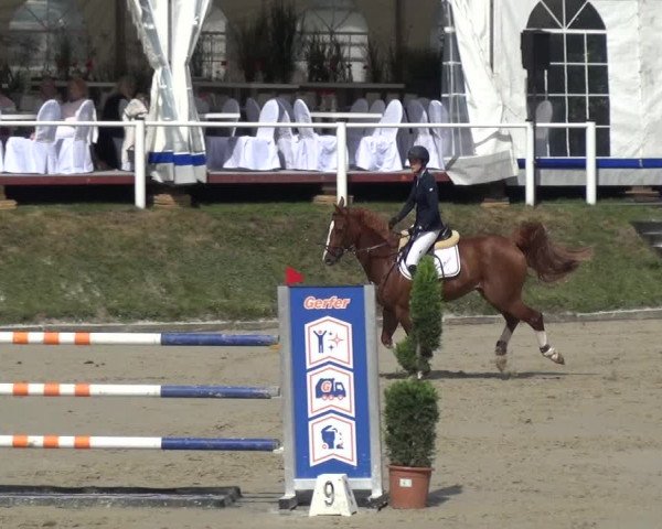 Reitturnier Bergisch Classics - Hebborner Hof 2019
