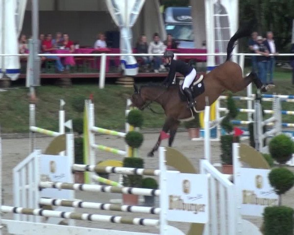 Reitturnier Bergisch Classics - Hebborner Hof 2019