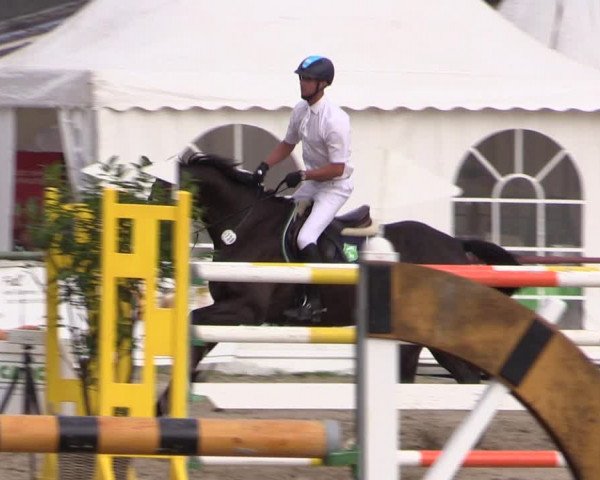 Reitturnier Datteln 2019