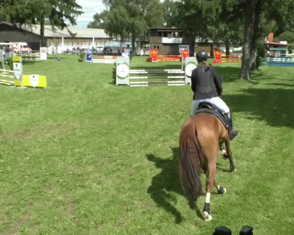 Reitturnier Memmingen/Schw. 2019