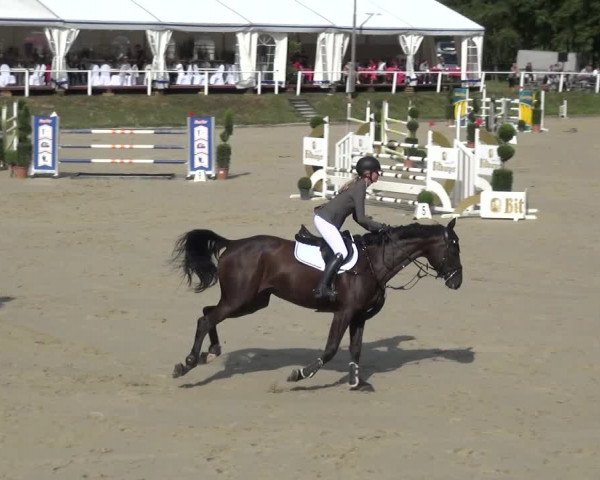 Reitturnier Bergisch Classics - Hebborner Hof 2019