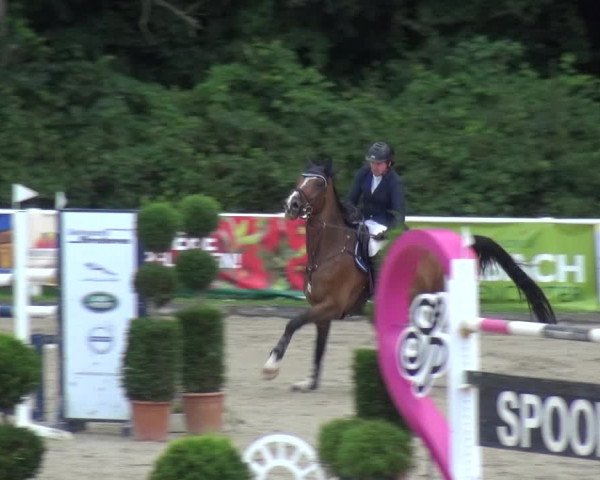 Reitturnier Bergisch Classics - Hebborner Hof 2019