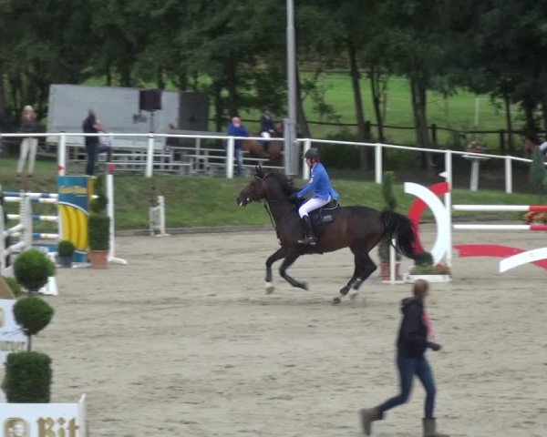 Reitturnier Bergisch Classics - Hebborner Hof 2019