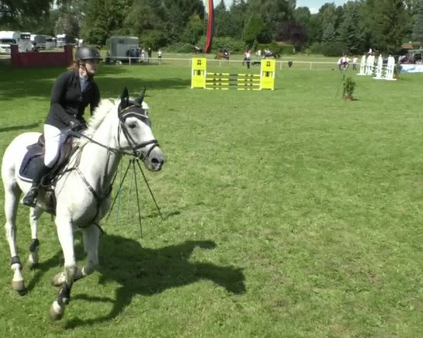 Reitturnier Memmingen/Schw. 2019