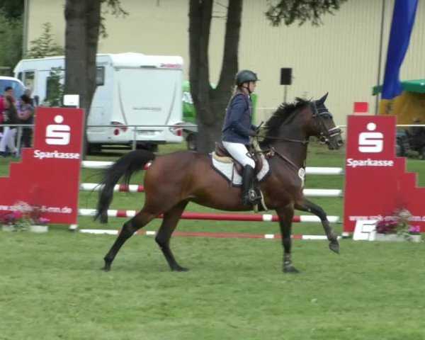 Reitturnier Memmingen/Schw. 2019