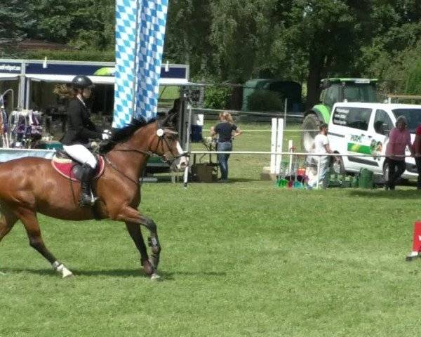Reitturnier Memmingen/Schw. 2019