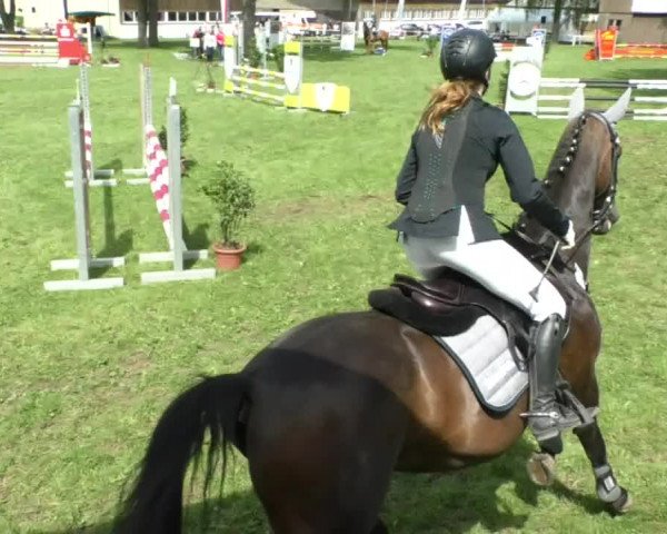 Reitturnier Memmingen/Schw. 2019