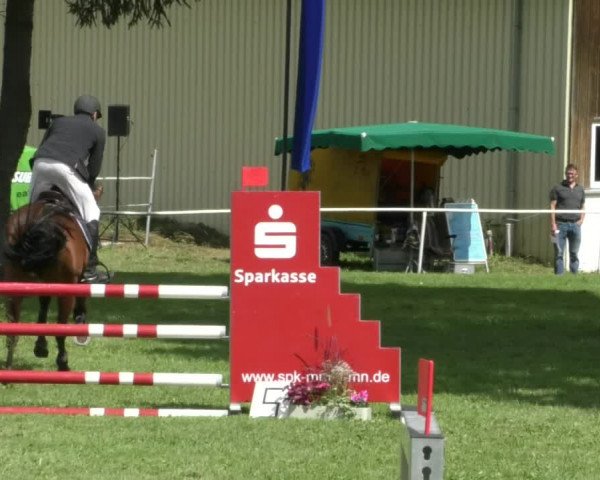 Reitturnier Memmingen/Schw. 2019