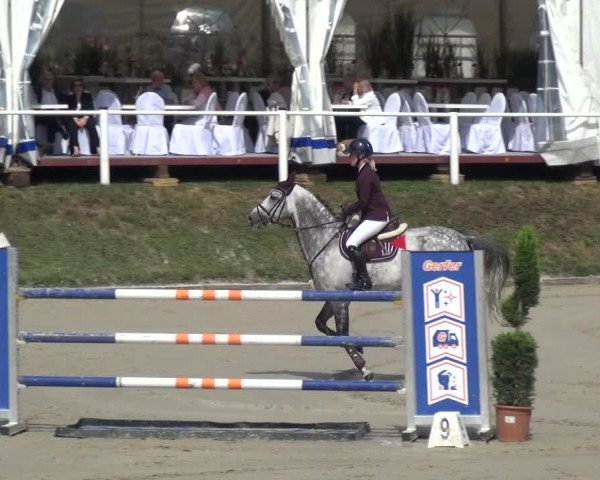 Reitturnier Bergisch Classics - Hebborner Hof 2019