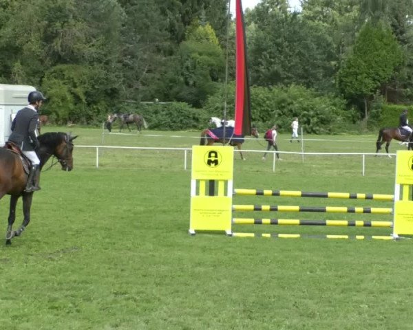 Reitturnier Memmingen/Schw. 2019