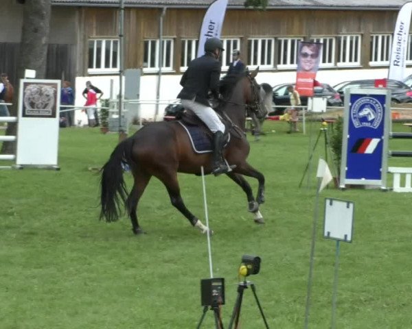 Reitturnier Memmingen/Schw. 2019