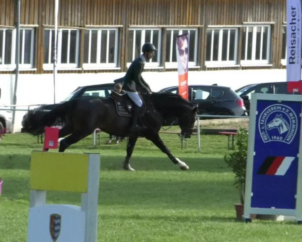 Reitturnier Memmingen/Schw. 2019