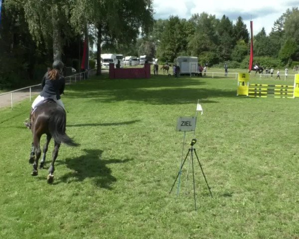 Reitturnier Memmingen/Schw. 2019