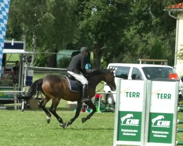 Reitturnier Memmingen/Schw. 2019