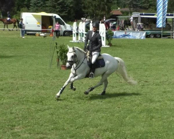 Reitturnier Memmingen/Schw. 2019