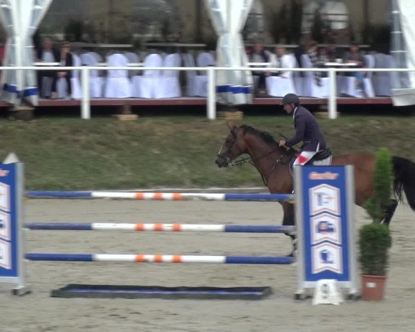 Reitturnier Bergisch Classics - Hebborner Hof 2019