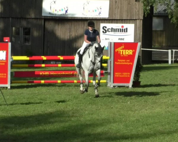 Reitturnier Memmingen/Schw. 2019