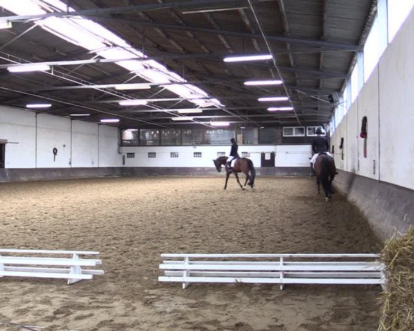 Reitturnier Ascheberg 2021