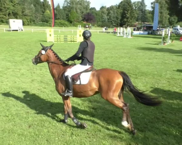 Reitturnier Memmingen/Schw. 2019