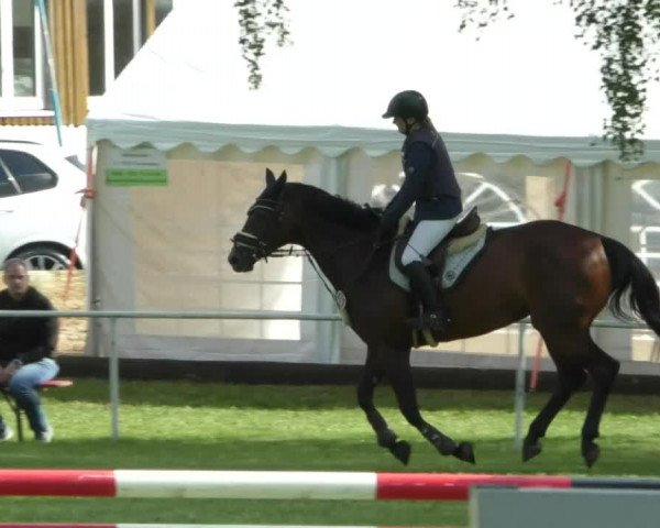Reitturnier Memmingen/Schw. 2019