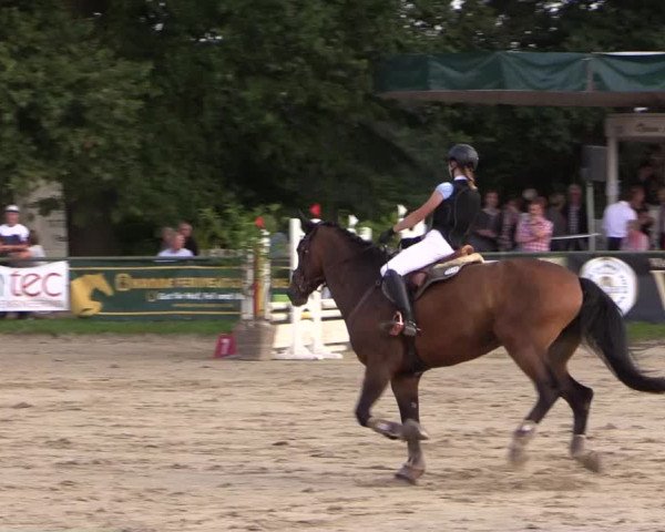 Reitturnier Datteln 2019