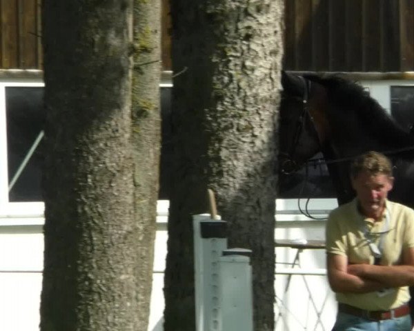 Reitturnier Memmingen/Schw. 2019
