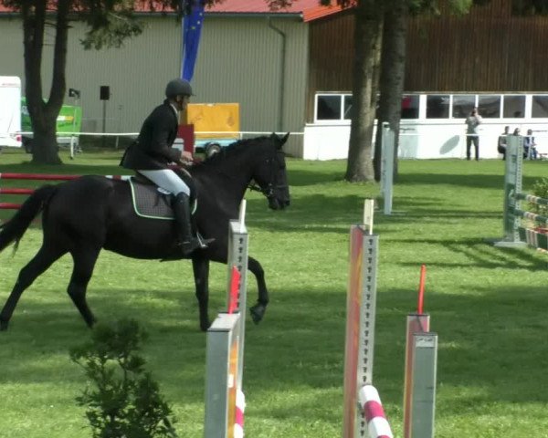 Reitturnier Memmingen/Schw. 2019