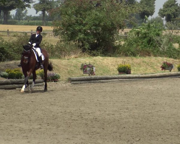 Reitturnier Datteln 2019
