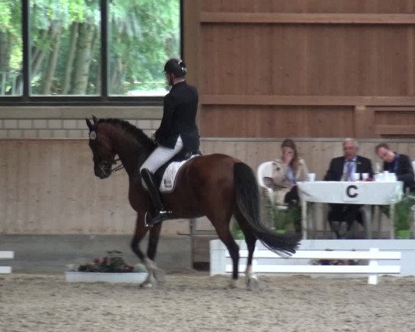 Reitturnier Bergisch Classics - Hebborner Hof 2019