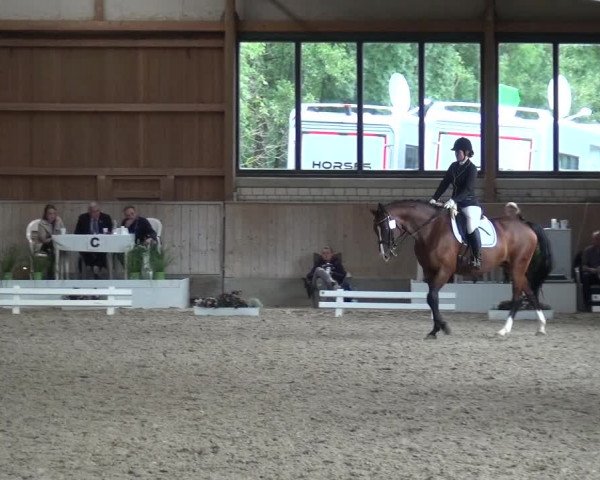 Reitturnier Bergisch Classics - Hebborner Hof 2019
