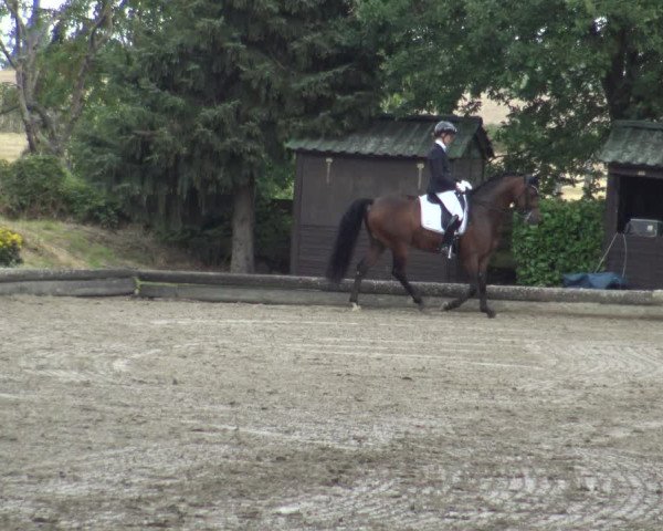 Reitturnier Datteln 2019