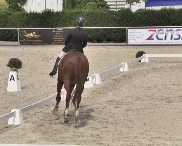 Reitturnier Durmersheim-Hardt 2019