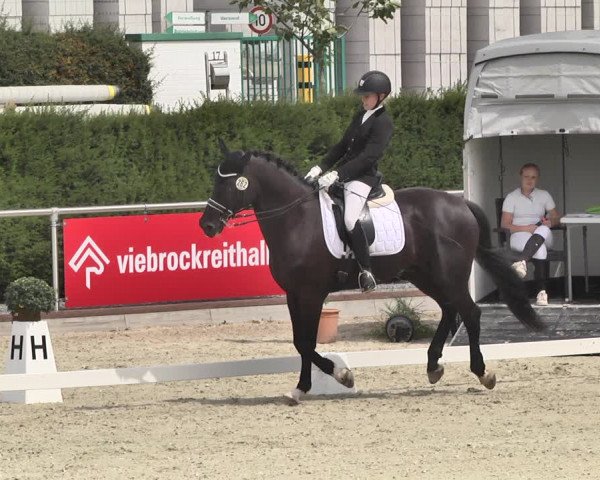 Reitturnier Durmersheim-Hardt 2019