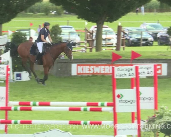 Reitturnier Aadorf 2019