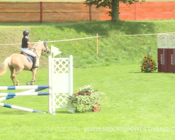 Reitturnier Aadorf 2019
