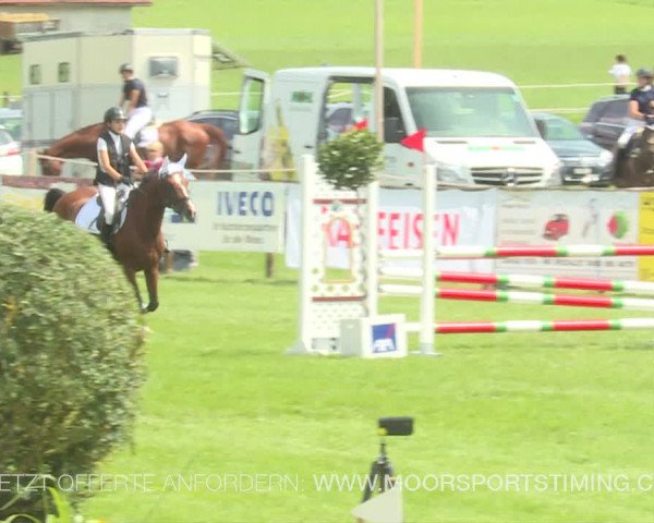 Reitturnier Aadorf 2019