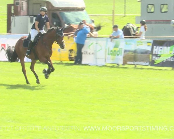 Reitturnier Aadorf 2019