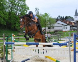 Springpferd Ratina 236 (Zweibrücker, 2010, von Shirkan Z)