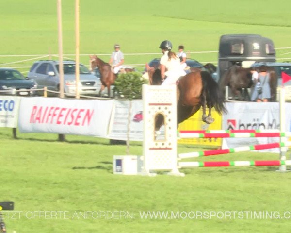 Reitturnier Aadorf 2019