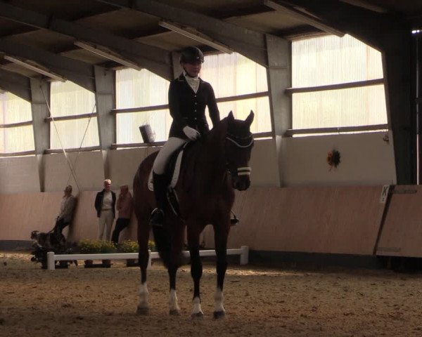 Reitturnier Datteln 2019
