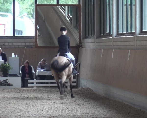 Reitturnier Bergisch Classics - Hebborner Hof 2019