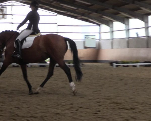 Reitturnier Datteln 2019
