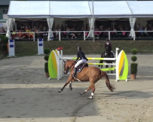 Reitturnier Bergisch Classics - Hebborner Hof 2019