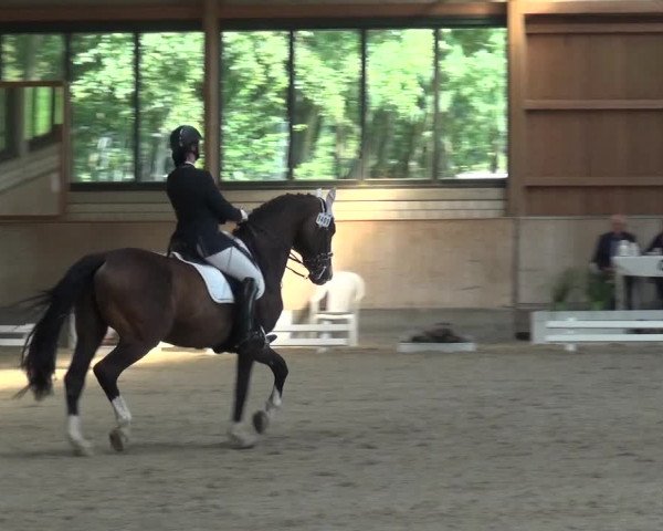 Reitturnier Bergisch Classics - Hebborner Hof 2019
