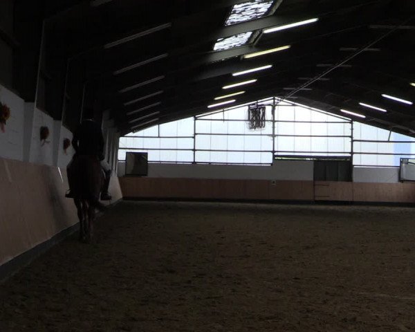 Reitturnier Datteln 2019