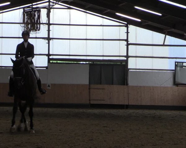 Reitturnier Datteln 2019
