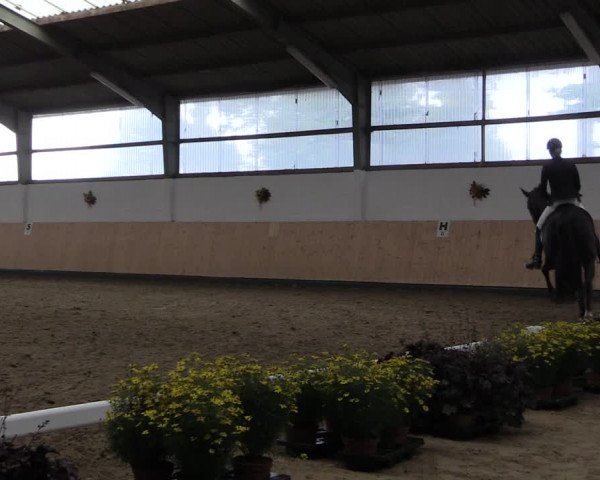 Reitturnier Datteln 2019