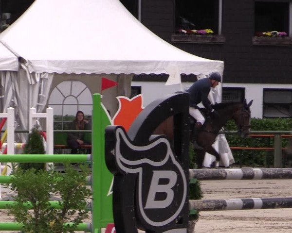 Reitturnier Datteln 2019