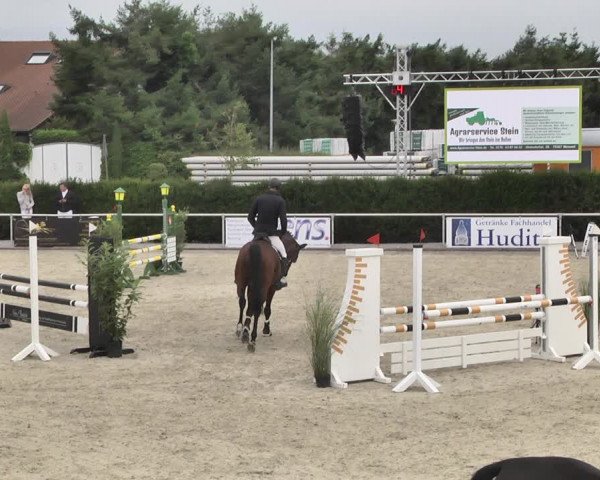Reitturnier Durmersheim-Hardt 2019